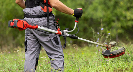 Grass Cutting Job